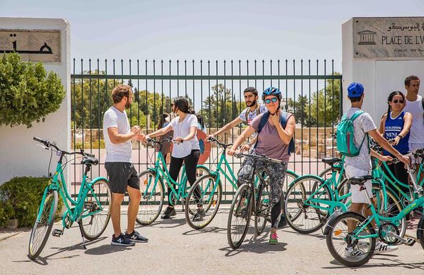 Group Guided Bike Tour of Carthage Archeological Site in Tunisia