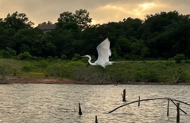 Sunset and Glow Guided Kayaking Tour Grapevine Lake