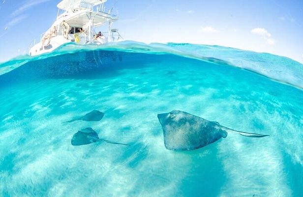 Grand Cayman Reef & Stingray City Snorkeling Adventure