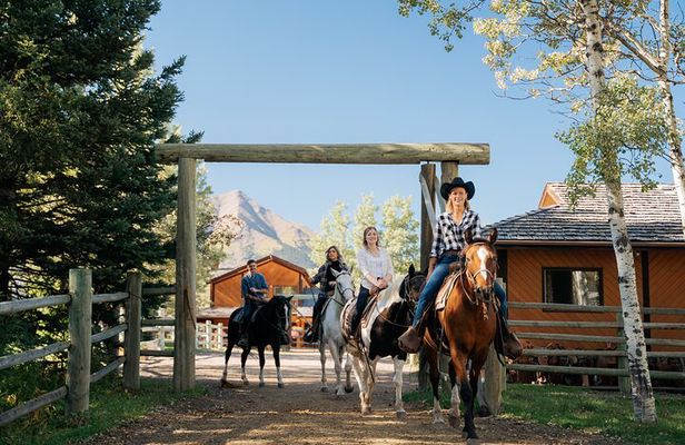 Valley Vista 1.5 Hour Horseback Trail Ride in Kananaskis