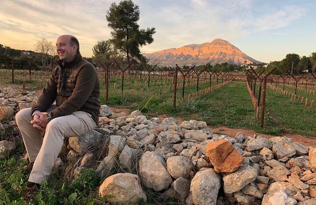 Sunset among Vineyards with Tasting in Alicante (min 6-12 people)