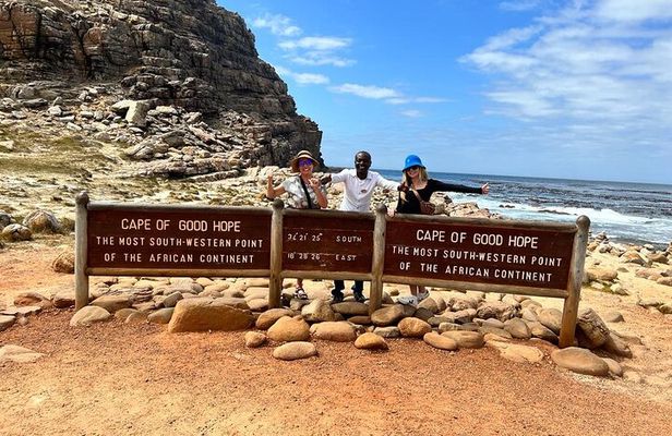 Private Tour: Table Mountain Boulder's Beach Penguin Cape Point