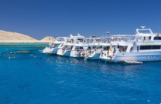 Ras Mohamed & White Island Snorkeling or Scuba Diving trip