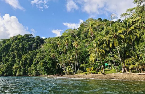 3 Days Kayak & Camping Excursionon in Golfo Dulce