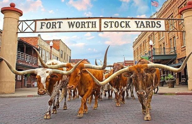 Fort Worth Highlights & Southfork Ranch Combo Tour