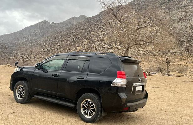 Full Day Private Jeep Tour to Elsen Tasarkhai, Semi-Gobi