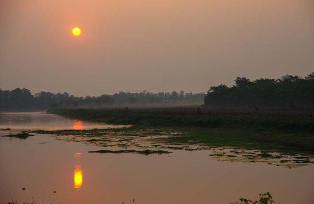 Experience the Thrill of the Wild: Chitwan Jungle Safari( 2N3D)