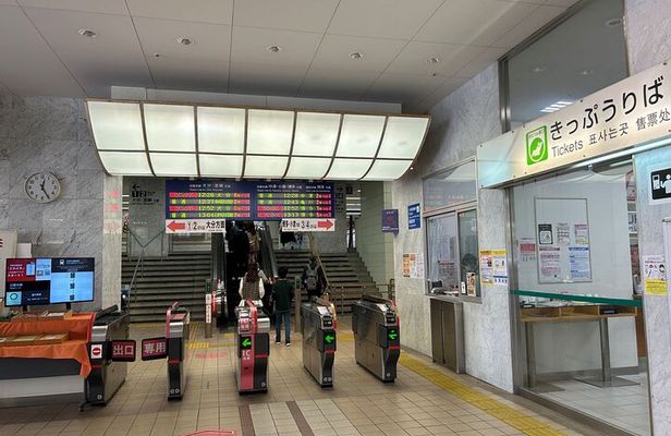 Beppu: Half Day HELL Sightseeing Private Guide Tour