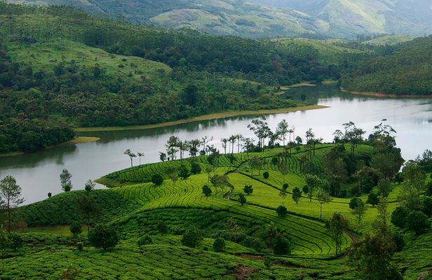 3 Nights Private Kerala Premium Package by Sanguine Holidays