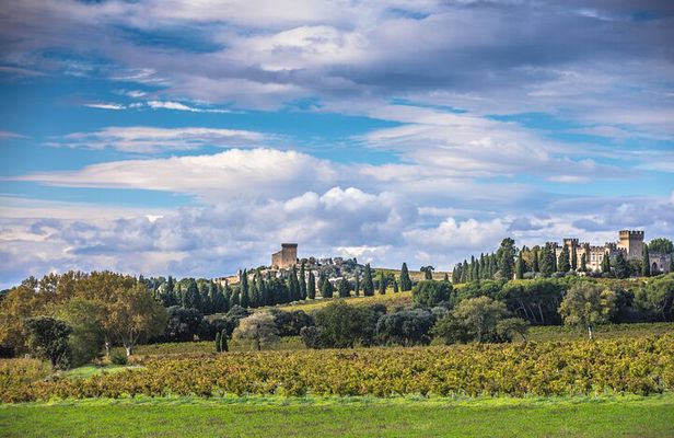 Half-Day Winery and Wine Tasting Guided Walking Tour