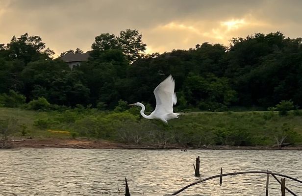 Grapevine Lake Kayak Eco Tour
