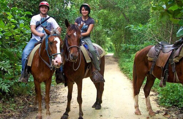 Small Group: Half Day Punta Cana Cultural Tour