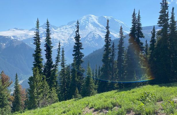 Mount Rainier Day Hike