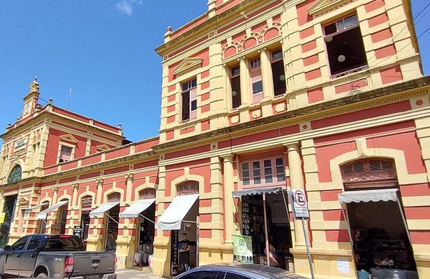 The Manaus City Tour and Meeting of the Waters