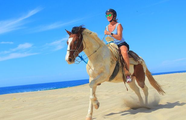 NEW! Cabo Shore Excursion: Beach Horseback Ride & Tequila Tasting