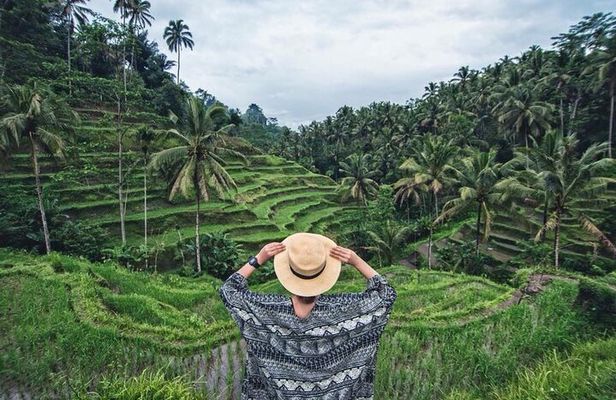 Ubud Trip, The Best of Ubud in a day - All Inclusive