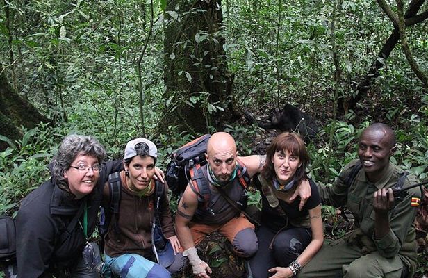 3 days Chimpanzee tracking Kibale Uganda