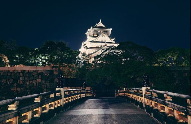 Best Private Osaka Walking Tour With A Guide 100% Personalised