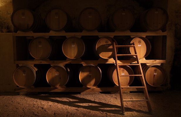 Historical Cellar Visit and Wine Tasting in Salento