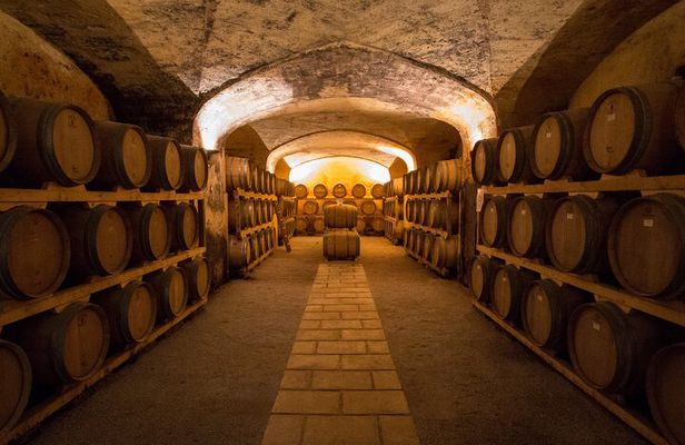Historical Cellar Visit and Wine Tasting in Salento