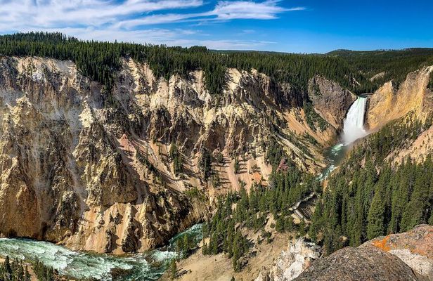 Private Yellowstone Highlights Tour