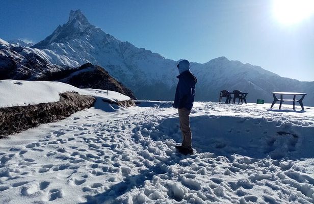 4 Days Private Mardi Himal Base Camp Trek