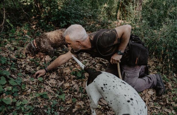 Truffle Hunting in Tuscany
