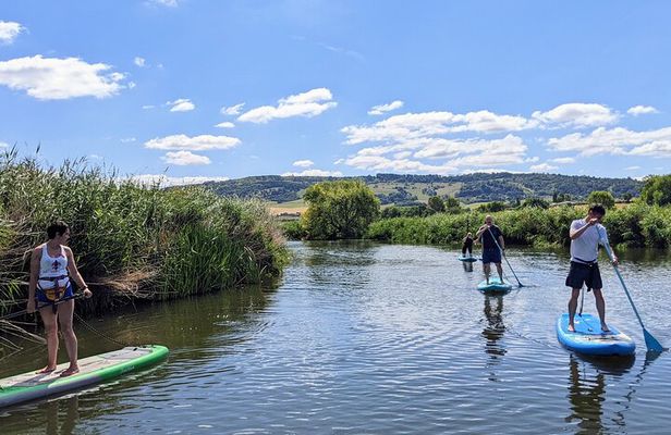 Stand-up Paddleboard SUP Safari on The River Avon For Beginners