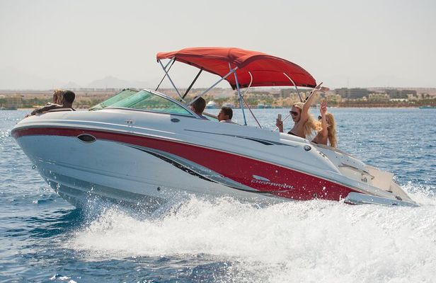 Private Speedboat Swim with Dolphins, Water Sports - Hurghada
