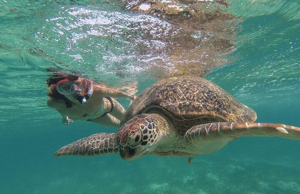Marsa Mubarak Sea Snorkeling Boat Trip From Marsa Alam