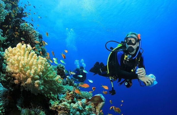 Intro Diving Full-Day Boat Trip, Lunch & Transfers - Hurghada