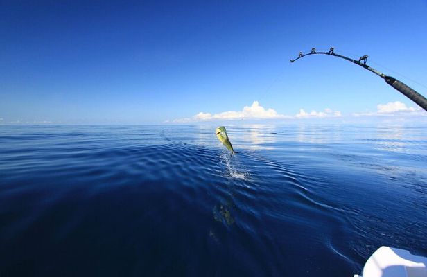Fishing and Snorkelling by Speedboat Tour - Hurghada