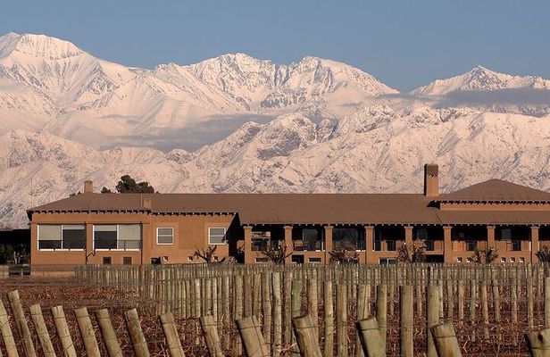 Winery Vistalba + Lunch Susana Balbo. Private transportation