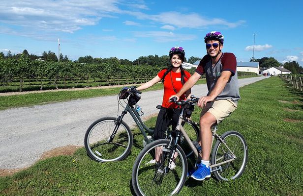 Niagara Wine and Cheese Bicycle Tour with Local Guide