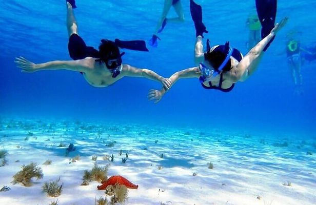 Private Tour in Cozumel El Cielo Sandbar and Reef Snorkeling