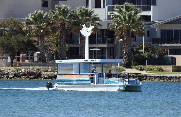 1 Hour Deluxe Scenic Dolphin Cruise