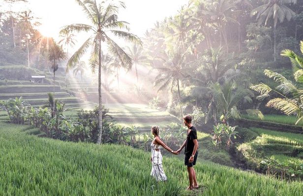 Bali Private inclusive tour: Best of Ubud in a Day