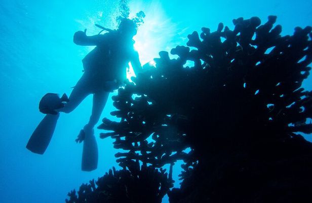 1 Tank Discover Scuba at Koloa Landing with No Experience needed