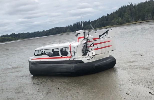 Hover Craft Scenic Tour in Talkeetna, Alaska