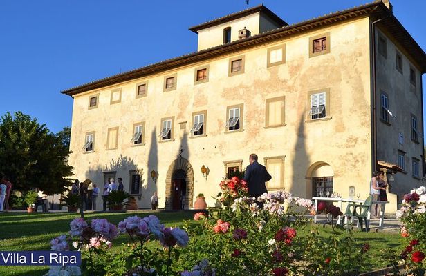 Tour through the vineyards and wine and olive oil tasting in Tuscany