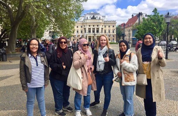 Bratislava City Walking Tour with Castle Ticket
