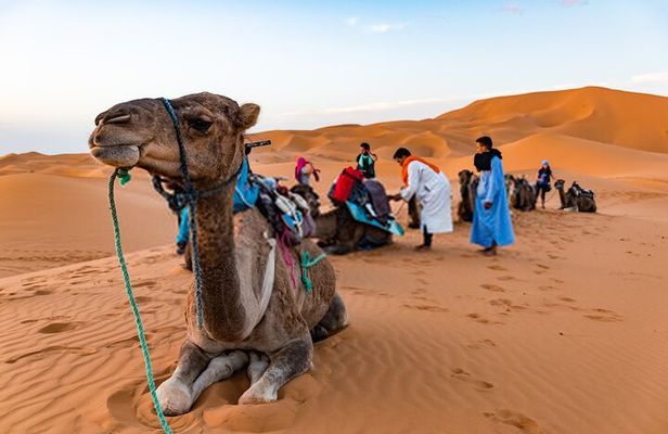 Ouarzazate To Erg Chegaga Dunes & Camel treks in 2 Days