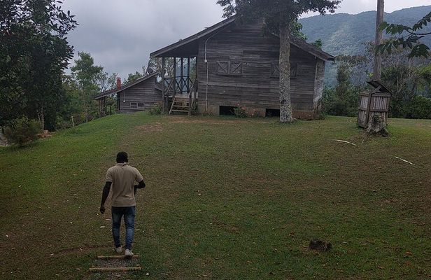 Blue Mountain Sight-Seeing & Nature Trail Hike with Private Guide