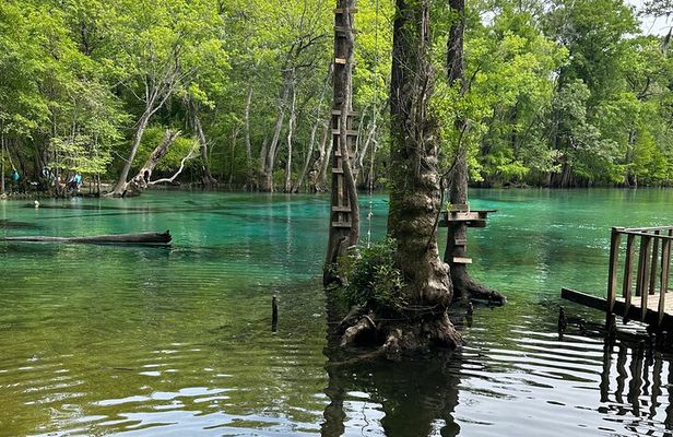 VIP ECO adventure to Cypress Springs by Paddle Board or Kayak