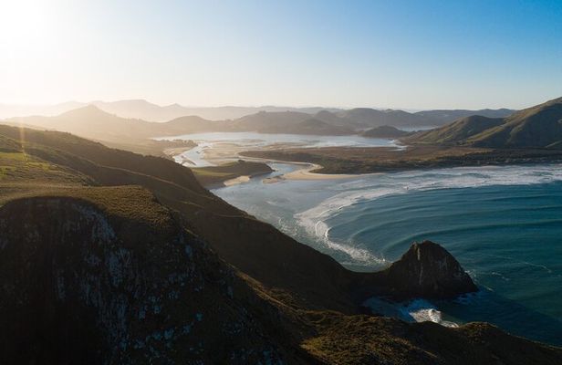 Otago Peninsula In-Depth Tour & Blue Penguins Pukekura Experience