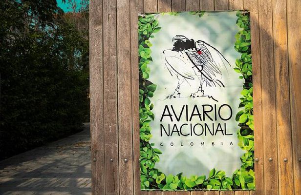 Full day tour aviary with beach in Baru with lunch