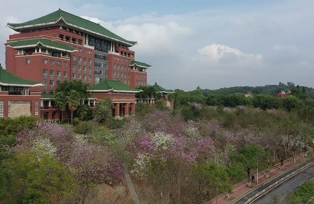 China Education Culture University Campus Guangzhou Private Tour