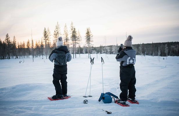 Half Day Snowshoe Hiking Adventure in Levi Lapland