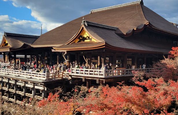 Private Guided Historical Sightseeing Tour in Kyoto
