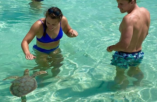 Private 4-Hour Rose Island charter Snorkeling Turtles & Beaching